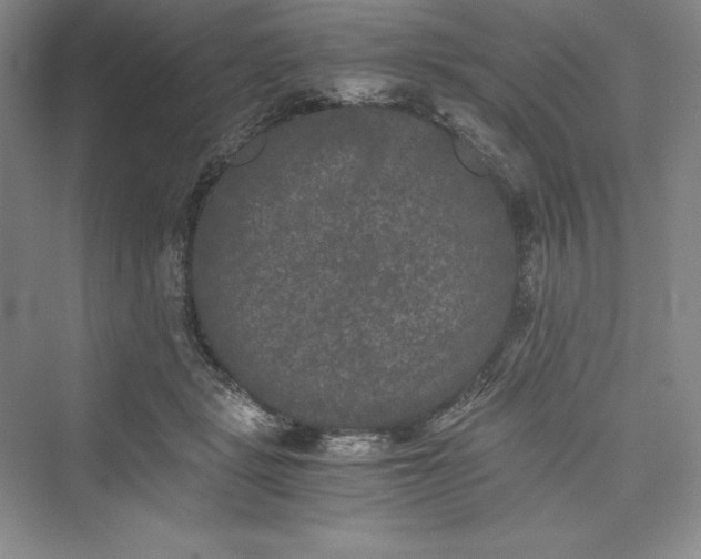 X0000073410461200608111329