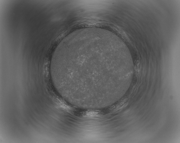 X0000073410462200608111329