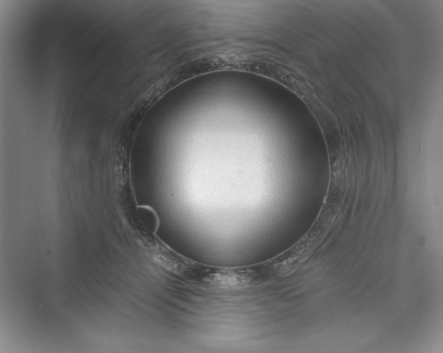 X0000073410464200608111329