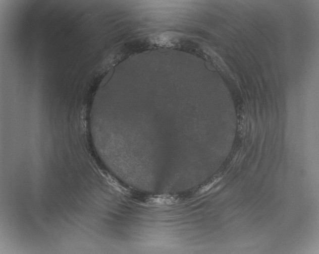 X0000073410466200608111330