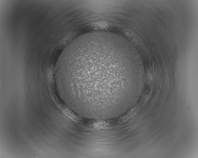 X0000073410468200608111330