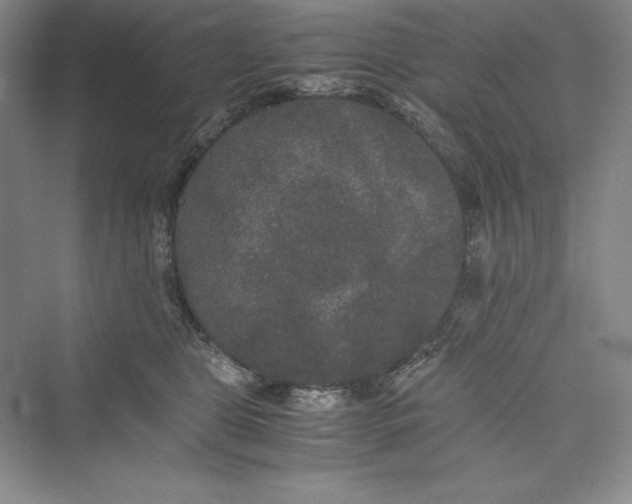 X0000073410469200608111330