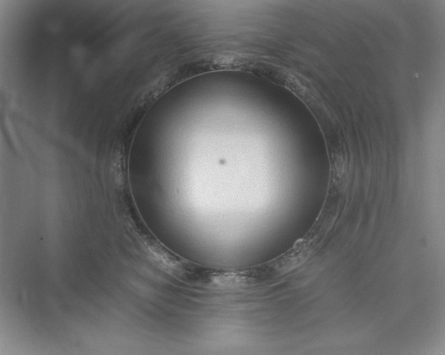 X0000073410470200608111330