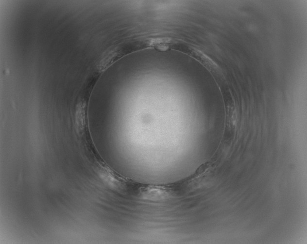 X0000073410475200608111330