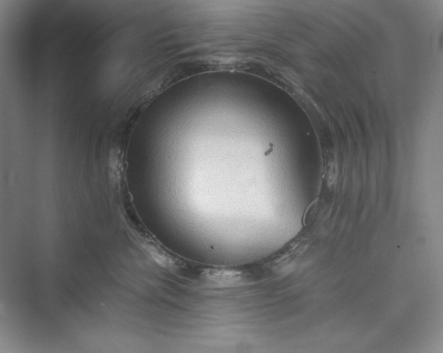 X0000073410476200608111330