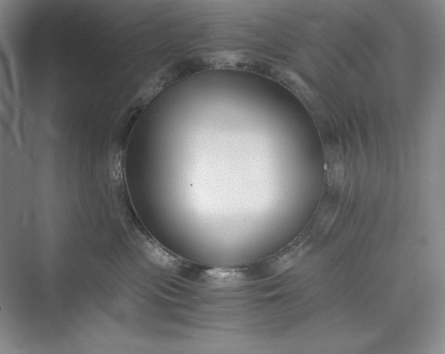 X0000073410477200608111330