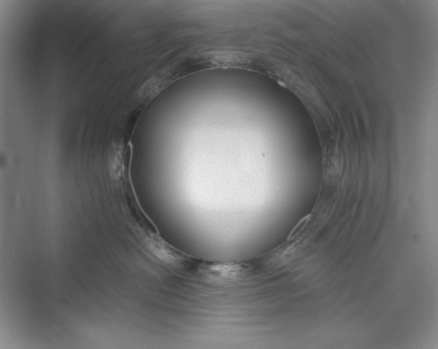 X0000073410478200608111330