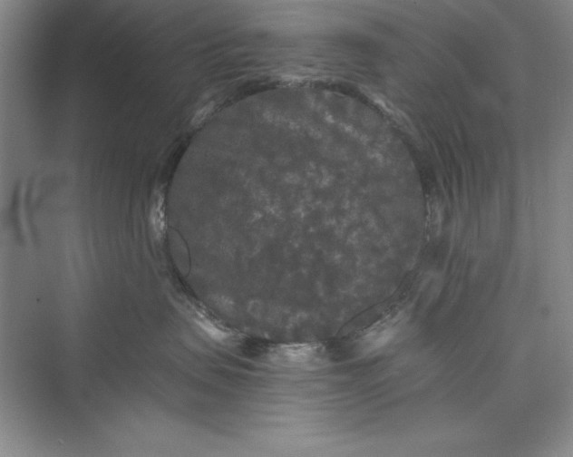 X0000073410479200608111330