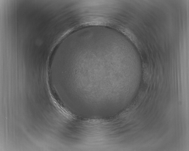 X0000073410482200608111329