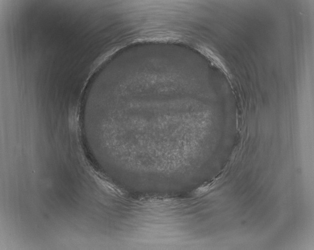 X0000073410483200608111329