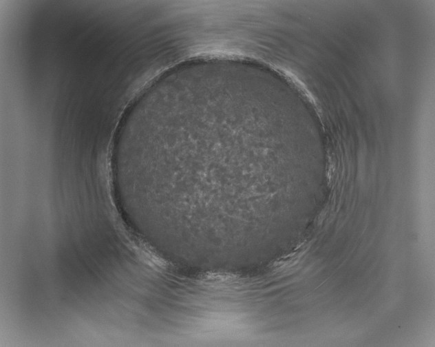 X0000073410487200608111329