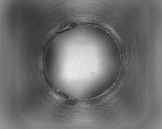 X0000073410489200608111329