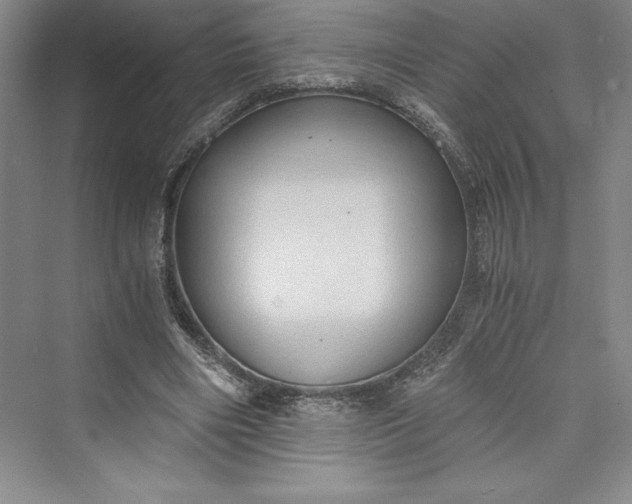 X0000073410490200608111329