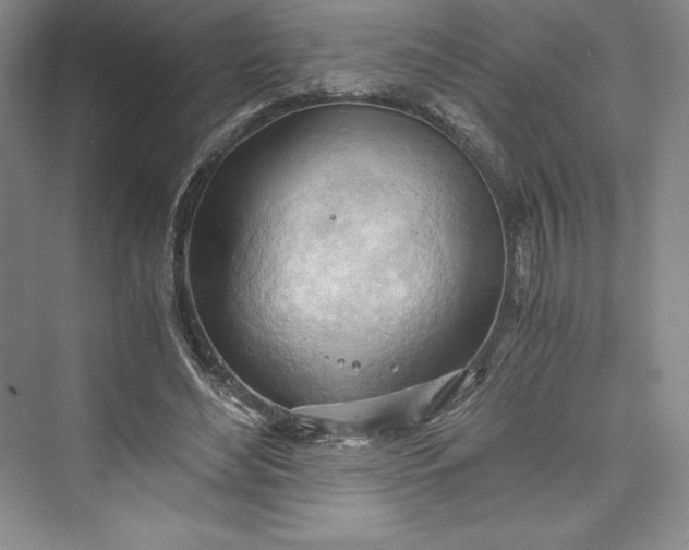 X0000073410492200608111329