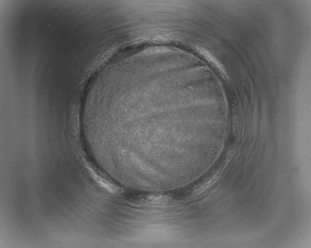 X0000073410493200608111329