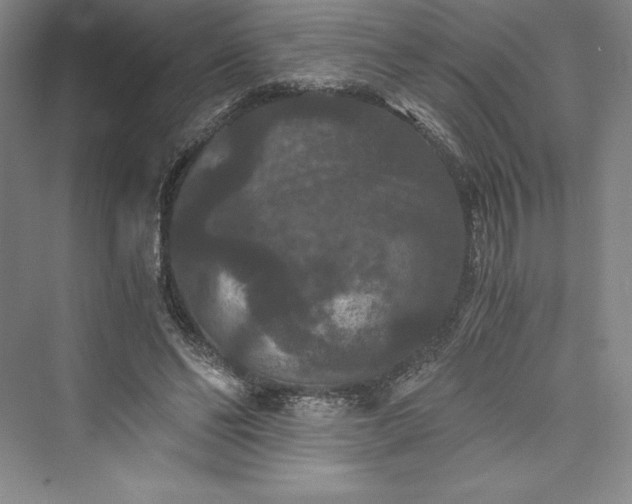 X0000073410494200608111329