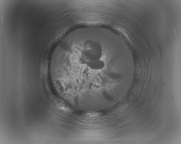 X0000073410495200608111329