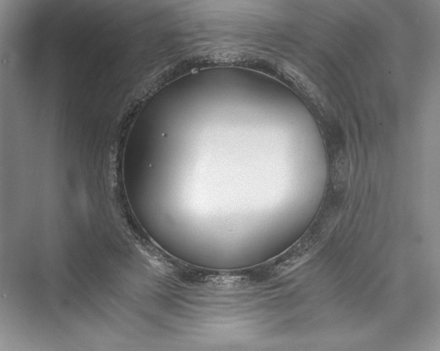 X0000073410497200608111329