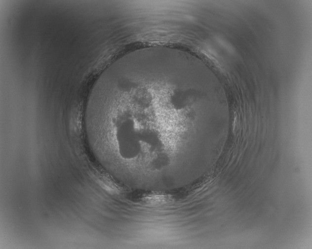 X0000073410499200608111329