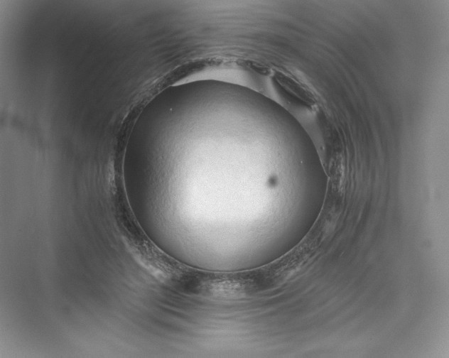 X0000073410500200608111329