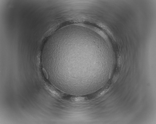 X0000073410501200608111329