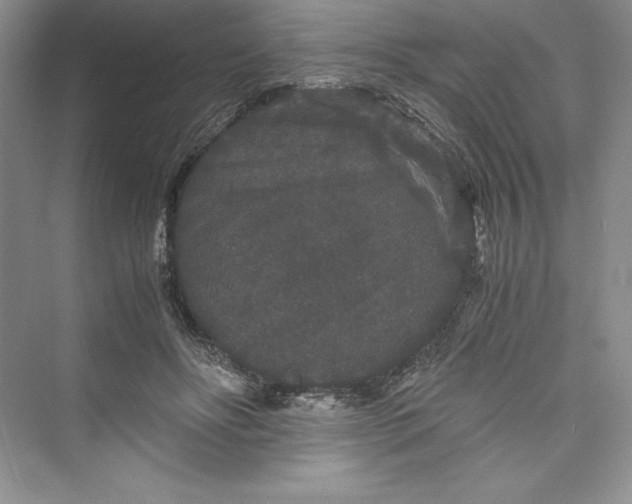 X0000073410502200608111329