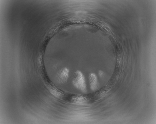 X0000073410503200608111329