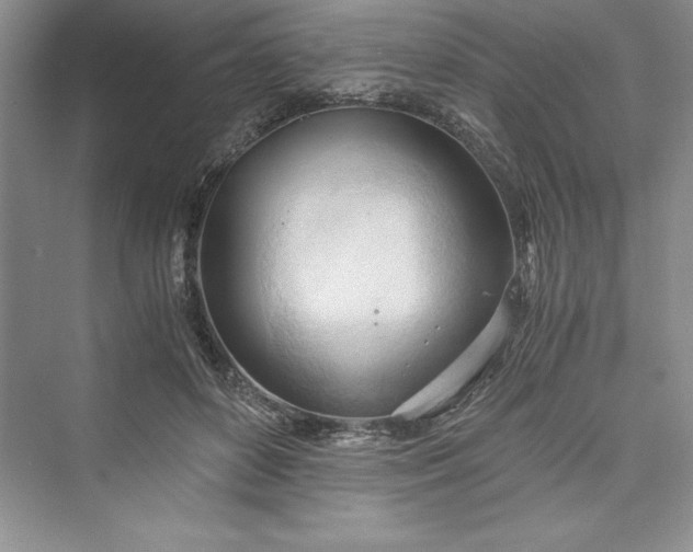 X0000073410504200608111329