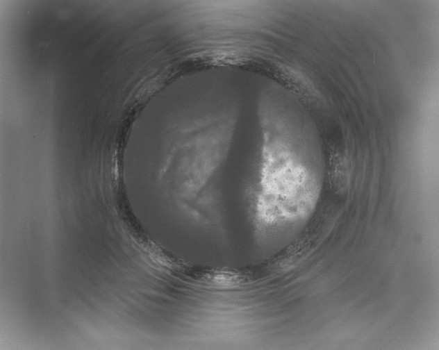 X0000073410506200608111329