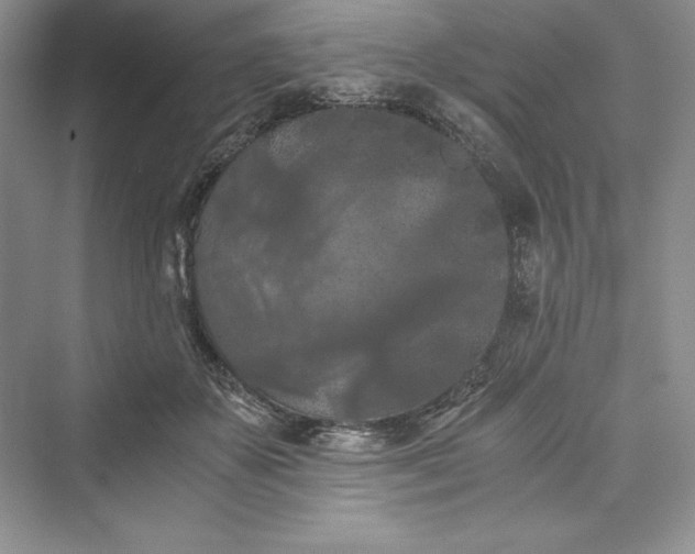 X0000073410507200608111328