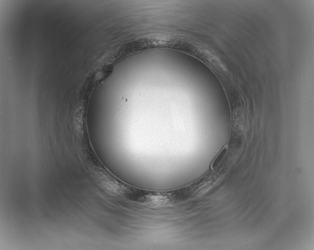 X0000073410509200608111328