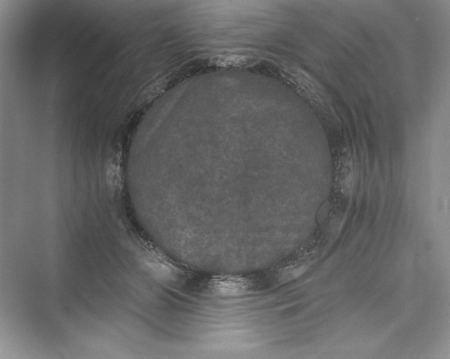 X0000073410510200608111328