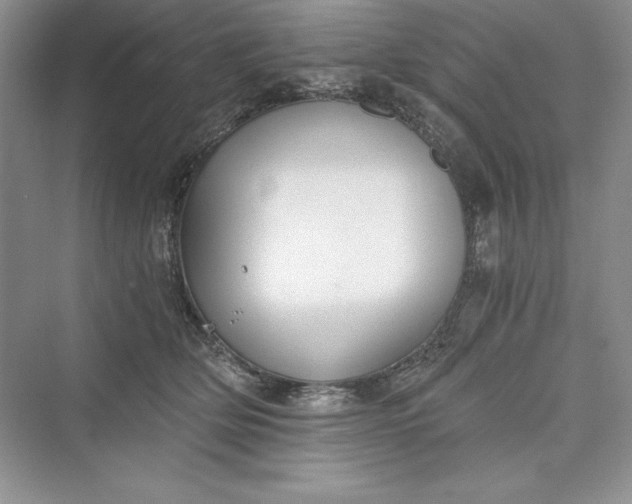 X0000073410514200608111328