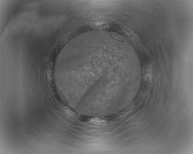 X0000073410515200608111328