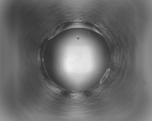 X0000073410516200608111328