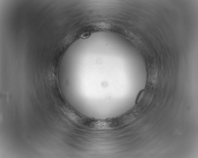 X0000073410518200608111328