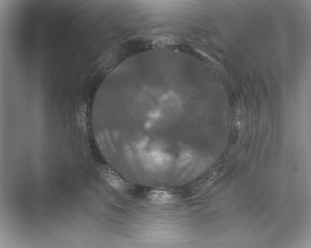 X0000073410519200608111328