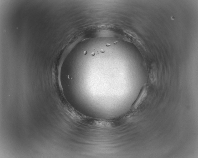 X0000073410520200608111328