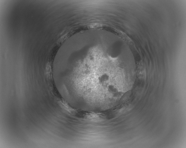 X0000073410523200608111328