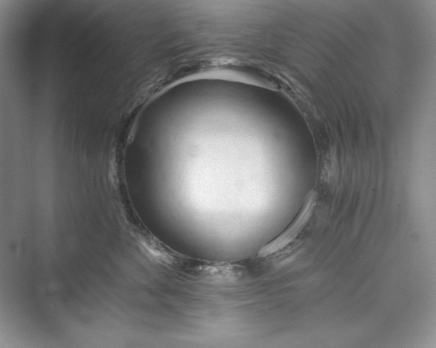 X0000073410524200608111328