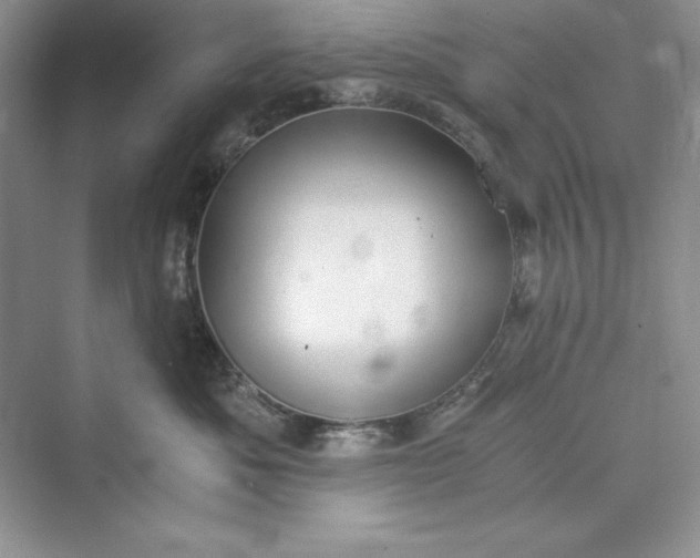 X0000073410525200608111328