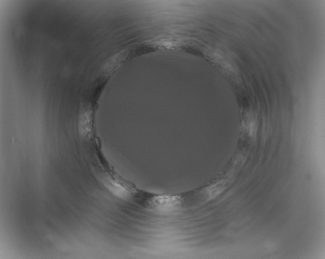 X0000073410526200608111328