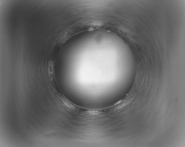 X0000073410528200608111328