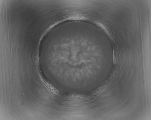 X0000073410531200608111327