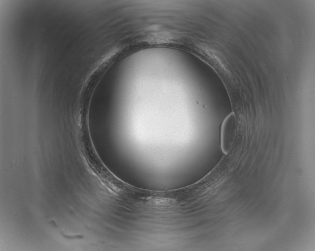 X0000073410539200608111327