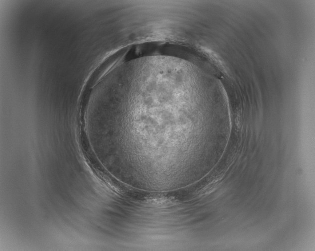 X0000073410540200608111328