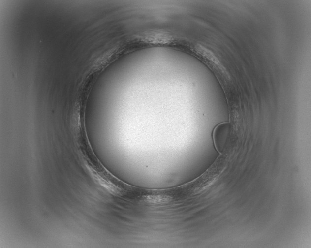 X0000073410541200608111328