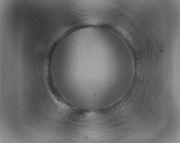 X0000073410544200608111328