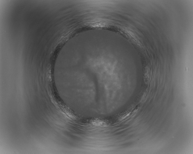 X0000073410547200608111328