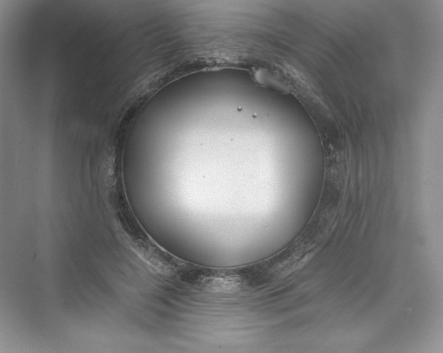 X0000073410548200608111328